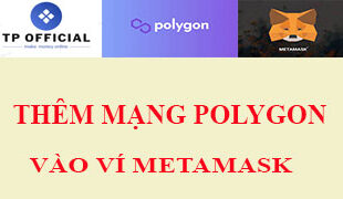 dautucoinvn.net-huong-dan-them-mang-polygon-vao-vi-meatmask